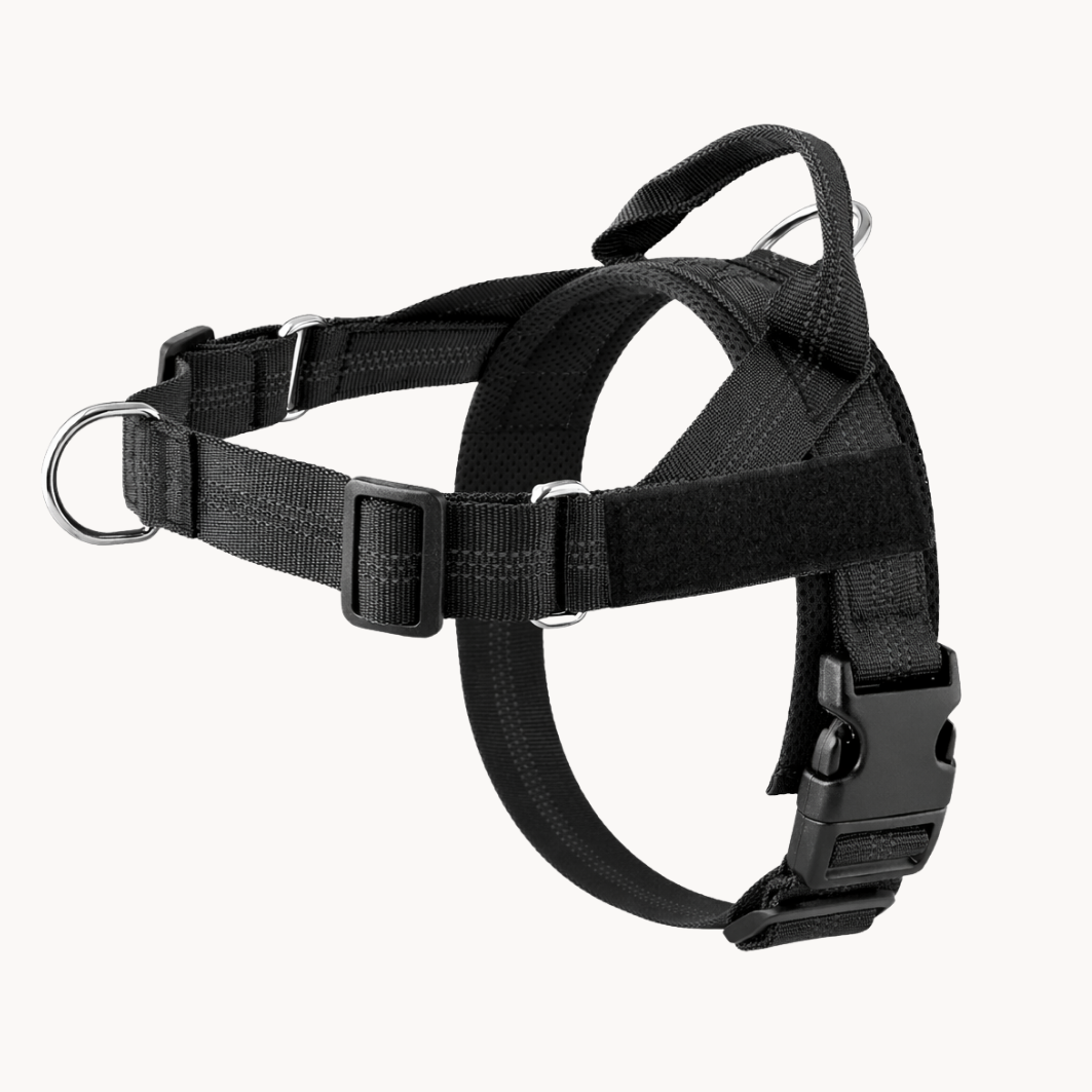 Harnais Anti-Traction À Clip Frontal - Milo & Co