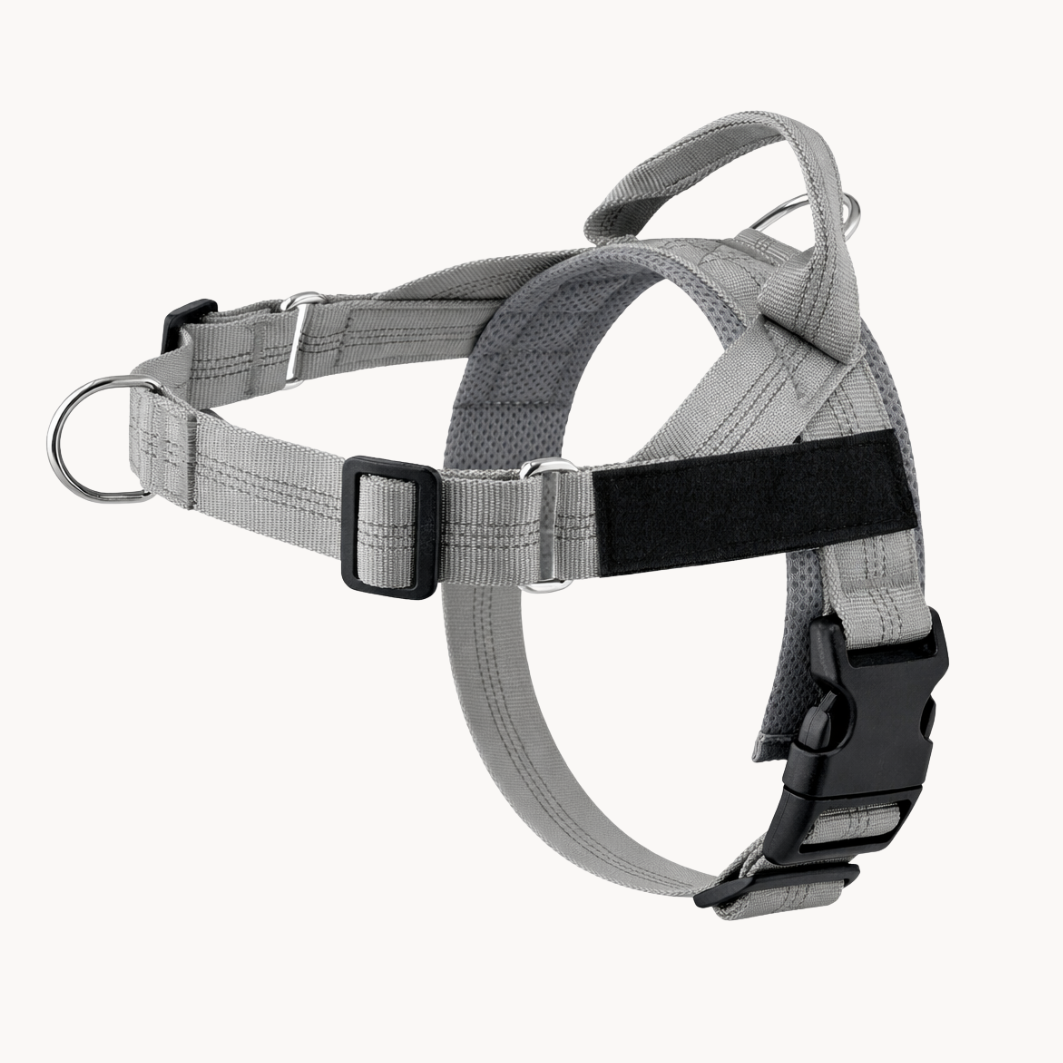 Harnais Anti-Traction À Clip Frontal - Milo & Co