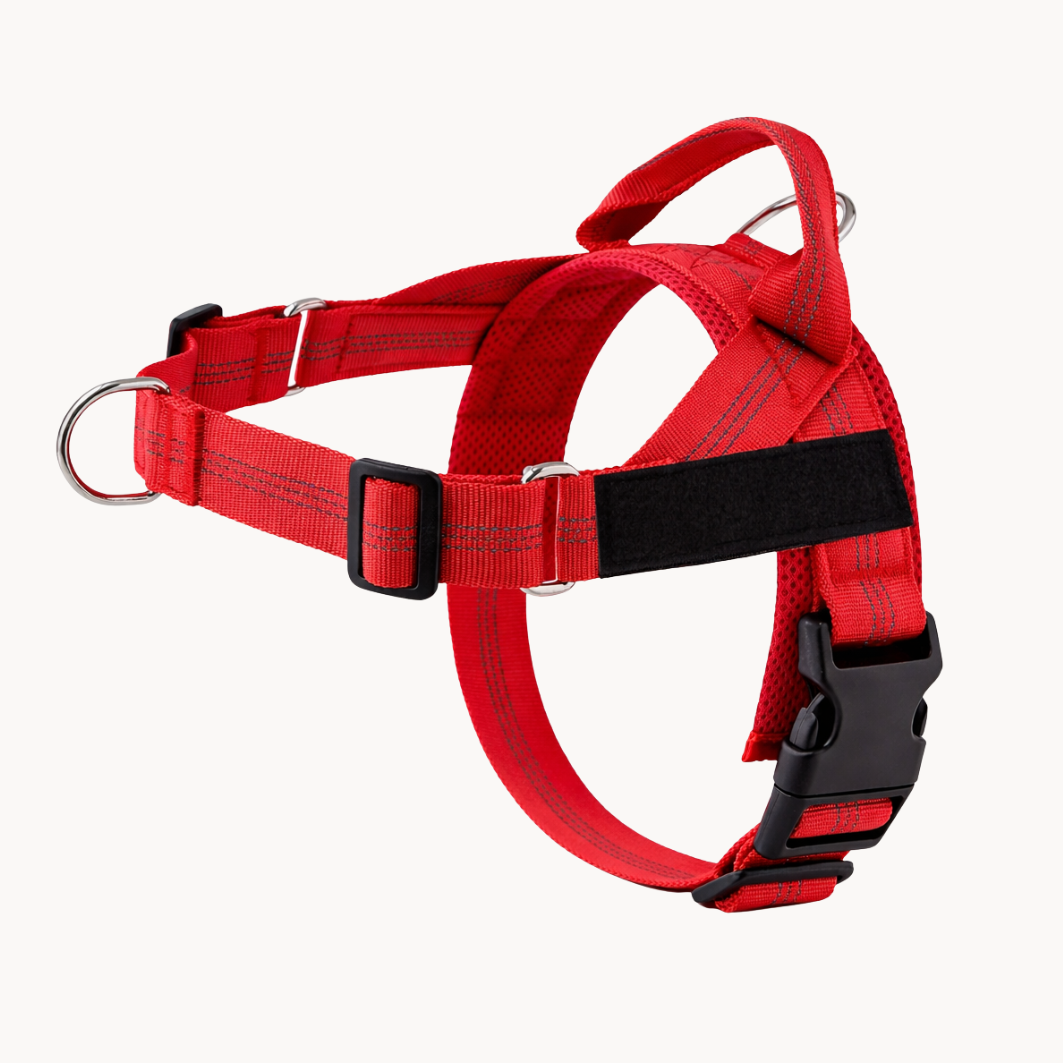 Harnais Anti-Traction À Clip Frontal - Milo & Co