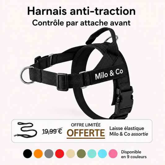 Harnais Anti-Traction À Clip Frontal - Milo & Co